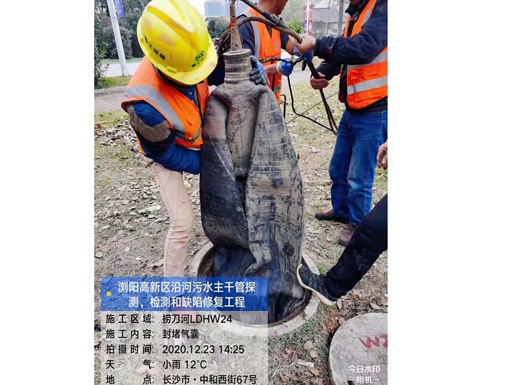 封堵气囊